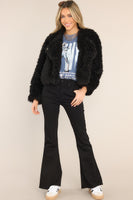 Diva Dreams Black Shearling Jacket